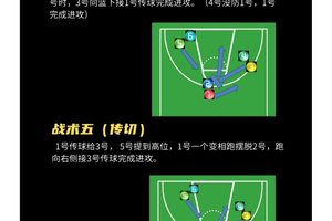 如何提高篮球战术训练中的团队协作?